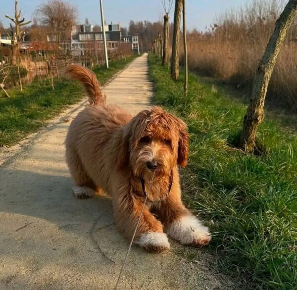 Meet Nancy