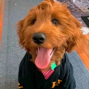 Meet Bella