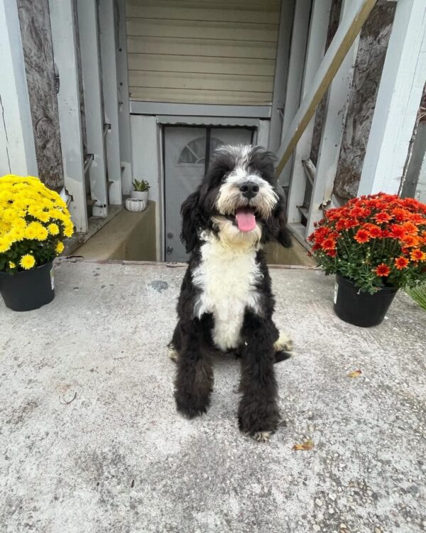 Meet James - Image 4