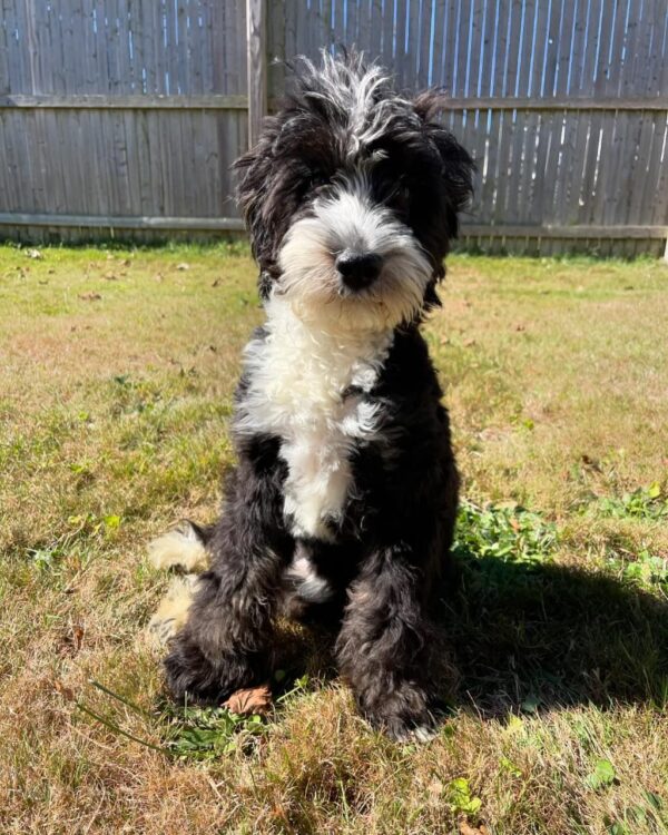 Meet James - Image 2