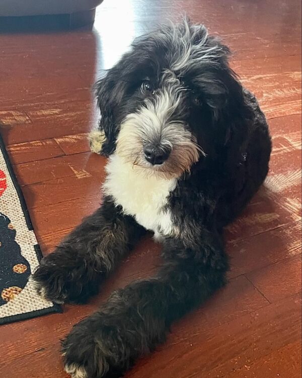 Meet James